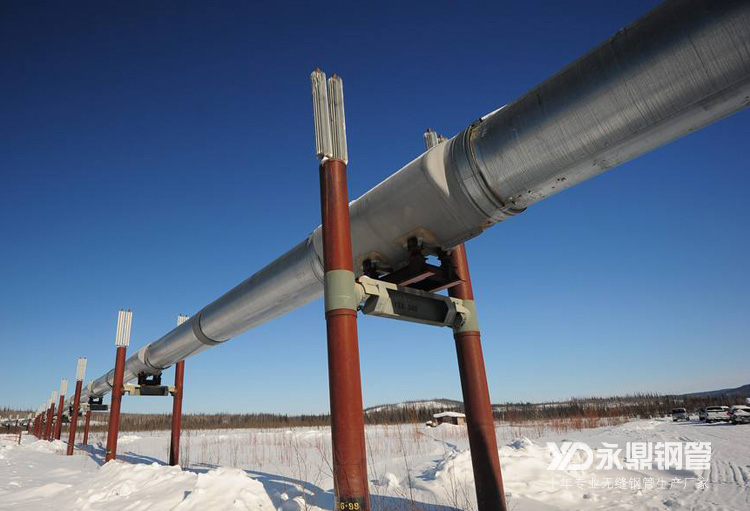 石油需求低迷導致無縫鋼管需求下滑嚴重 石油需求低迷導致無縫鋼管需求下滑嚴重