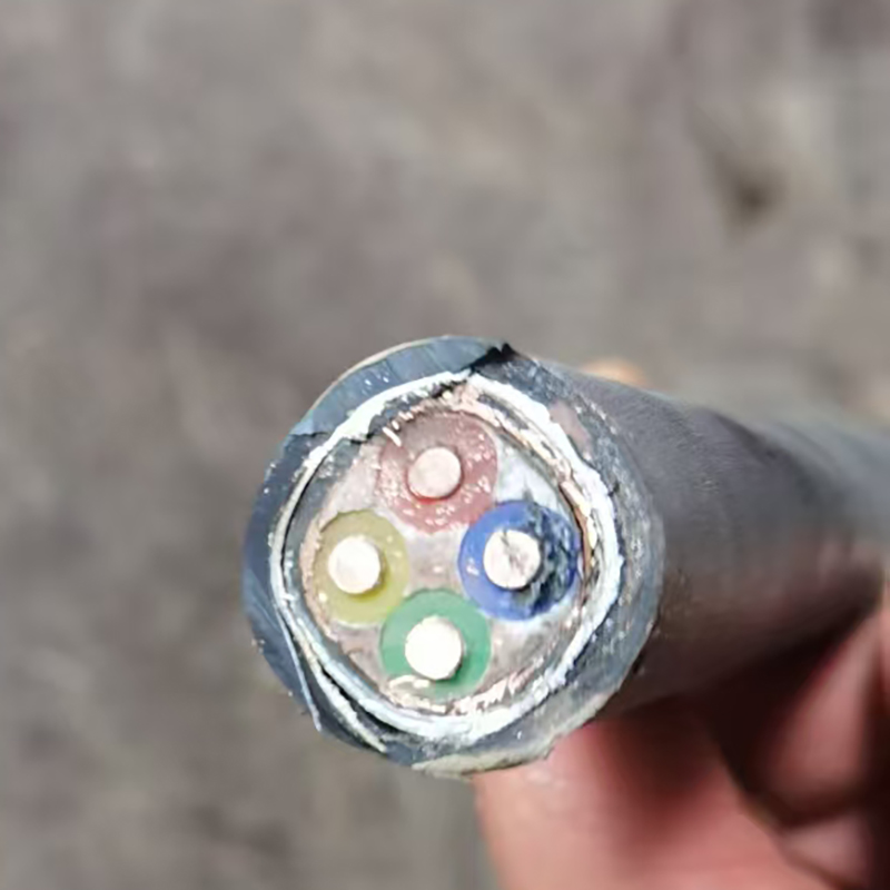WDZN-YJGFP22 4×4mm2 低煙無(wú)鹵特種鎧裝屏蔽電纜
